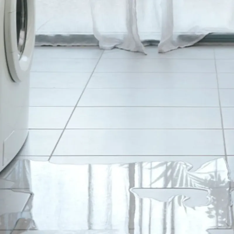 Appliance Leak Cleanup in Mineola, TX