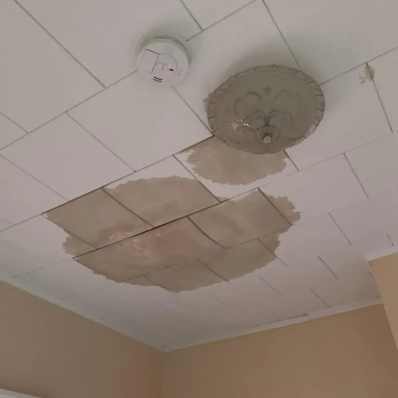 Ceiling Water Damage Repair in Mineola, TX