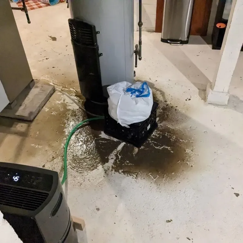 Sewage Backup Cleanup Service in Mineola, TX
